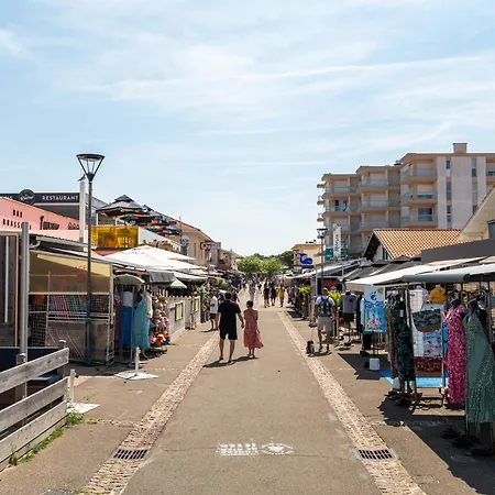 T3 Renove Face A La Dune, 6 Pers., Piscine, A Pied - - Fr-1-319-489 Apartment Biscarrosse