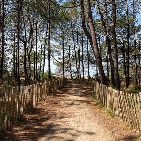 T3 Renove Face A La Dune, 6 Pers., Piscine, A Pied - - Fr-1-319-489 比斯卡罗斯