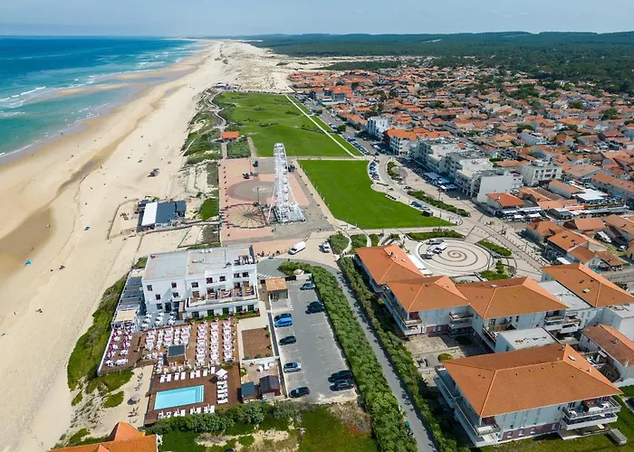 Appartement T3 Renove Face A La Dune, 6 Pers., Piscine, A Pied - - Fr-1-319-489