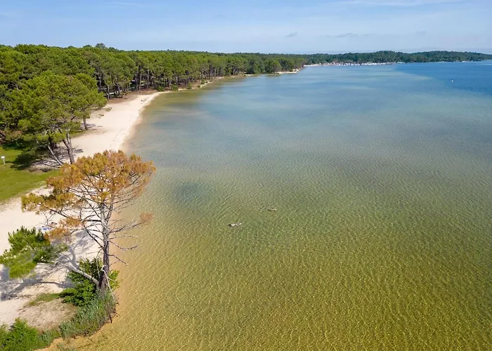 T3 Renove Face A La Dune, 6 Pers., Piscine, A Pied - - Fr-1-319-489 Appartement *