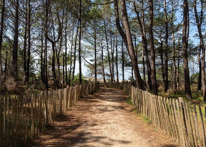 T3 Renove Face A La Dune, 6 Pers., Piscine, A Pied - - Fr-1-319-489 Biscarrosse