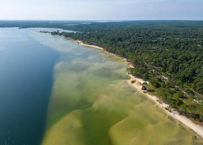 Appartement T3 Renove Face A La Dune, 6 Pers., Piscine, A Pied - - Fr-1-319-489 Biscarrosse